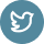 twitter icon